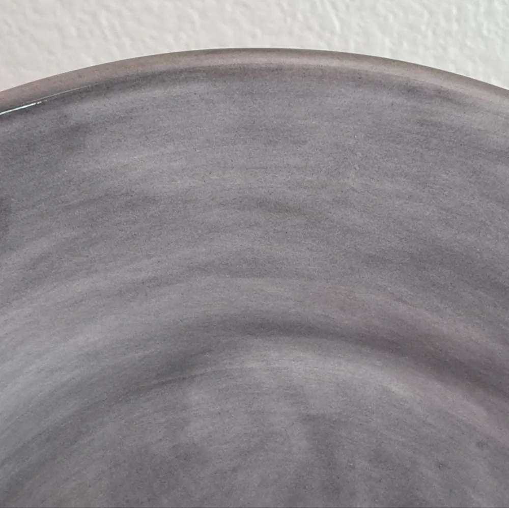 Pottery Barn Sausalito Dinner Plate Set of 2